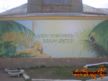 казанский зоопарк фото, казань зоопарк, зоопарк в казани